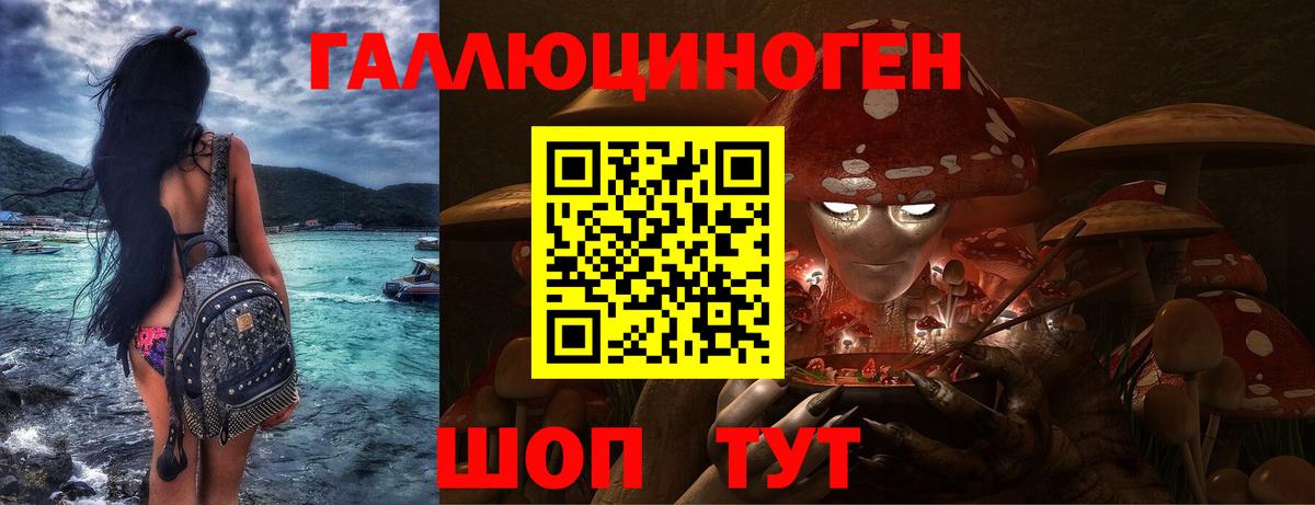 Чита  Галлюциногенные грибы мицелий  где купить наркоту  Вход с VPN 